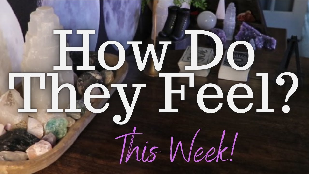 No momento, você está visualizando ALL SIGNS: Their FEELINGS For YOU This WEEK!!