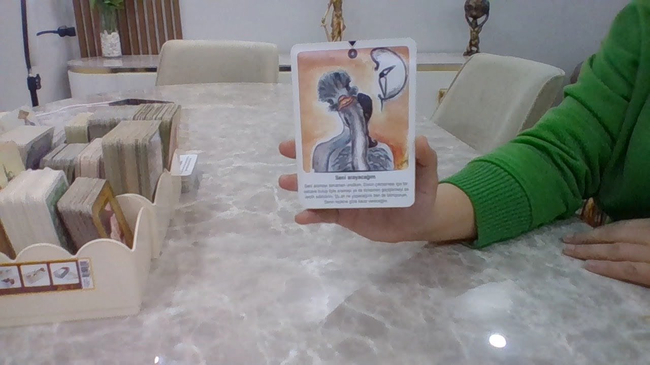 No momento, você está visualizando AN ENERJİSİNDE AKLINIZDAKİ KİŞİ #keşfet #tarot #keşfetteyiz #reels #love #aşk #tarotreading