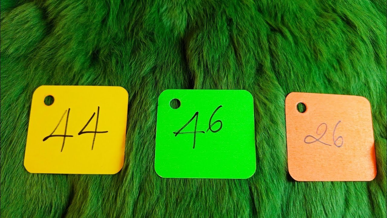 No momento, você está visualizando CHI TIẾT TIỀN BẠC CÔNG VIỆC THÁNG 2/2025 CỦA BẠN NHƯ THẾ NÀO ?@EvelynTarot