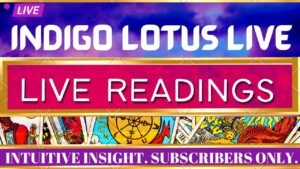 Leia mais sobre o artigo 🤍Live Tarot Readings🤍❣️ Paid Only❣️ | ❤️ $12.22 In-Depth ❤️|