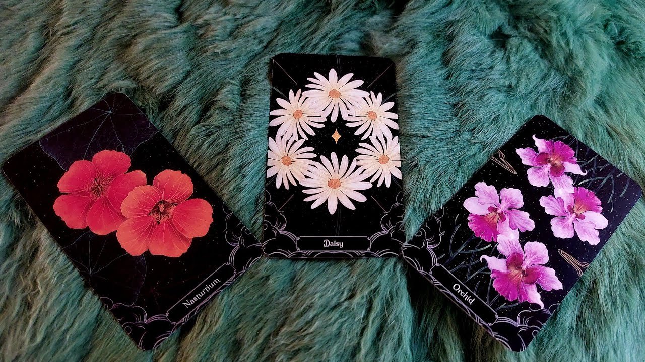 No momento, você está visualizando NỖI LO HIỆN TẠI NÀO CỦA BẠN SẮP ĐƯỢC QUÉT SẠCH?@EvelynTarot