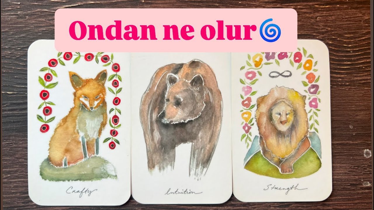 No momento, você está visualizando Ondan ne olur🌀potansiyeli nereye gider