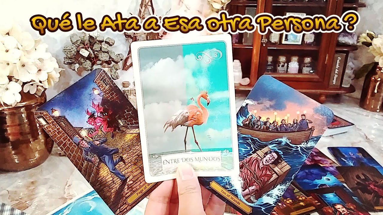 No momento, você está visualizando ✨️Qué le Ata Realmente a Esa Otra Persona?⛓️Interés 🏠, Deudas 💸, Amor❣️, Apego 👿? 🙇🏻‍♂️ Le Dejará?🔮