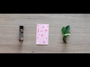 Leia mais sobre o artigo tarot: chọn tụ bài: điều vũ trụ muốn bạn tự làm cho bản thân trong năm nay