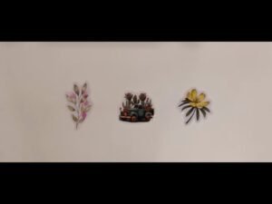 Leia mais sobre o artigo tarot: chọn tụ bài: người mới hoặc crush suy nghĩ gì về bạn?