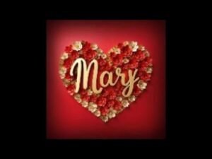 Leia mais sobre o artigo TAROT EN VIVO