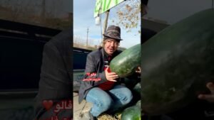 Leia mais sobre o artigo Farsi Tarot   منطق دختری که گیره 😅