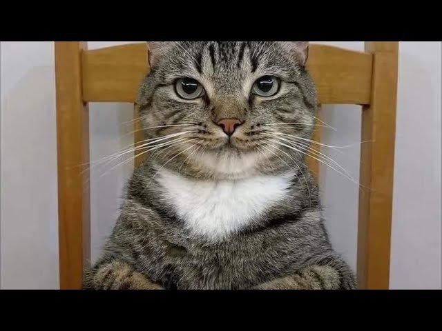 No momento, você está visualizando Hayatında kim olacak ex mi next mi? Kaderindeki kişi kim? Deste Seç Tarot