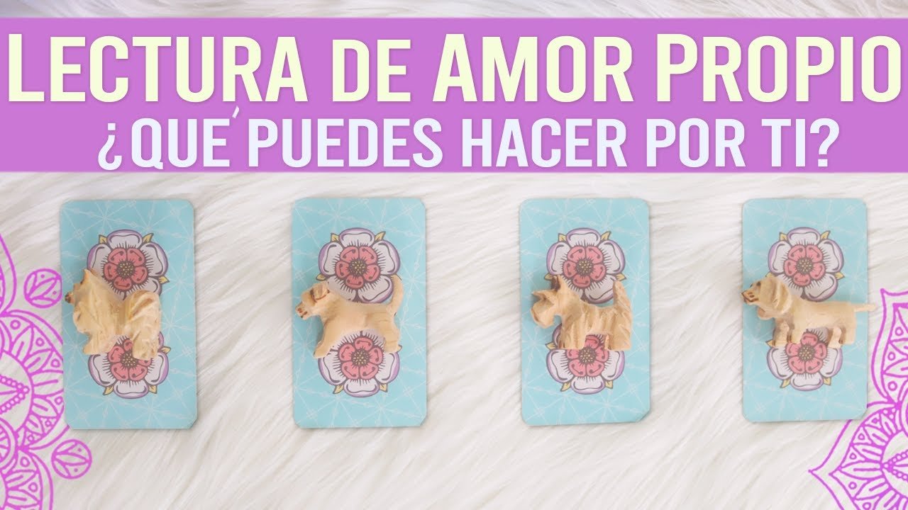 No momento, você está visualizando Lectura de AMOR PROPIO – ¿Qué puedes hacer por ti? || Tarot interactivo 🐝💕