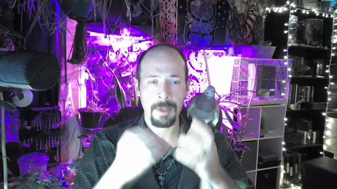No momento, você está visualizando Tarot and Bone readings