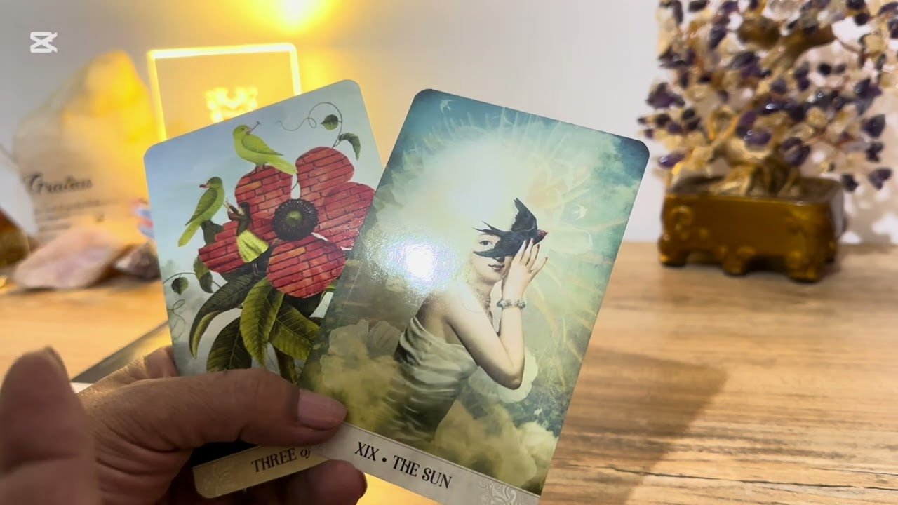 No momento, você está visualizando TU SILENCIO UNA CACHETADA A SU EGO #tarotgratis #tarot #parati #fyp