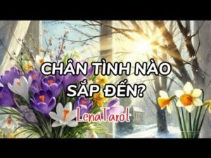 Leia mais sobre o artigo Chân tình nào sắp đến? | #lenatarot #tarot #tarotreading