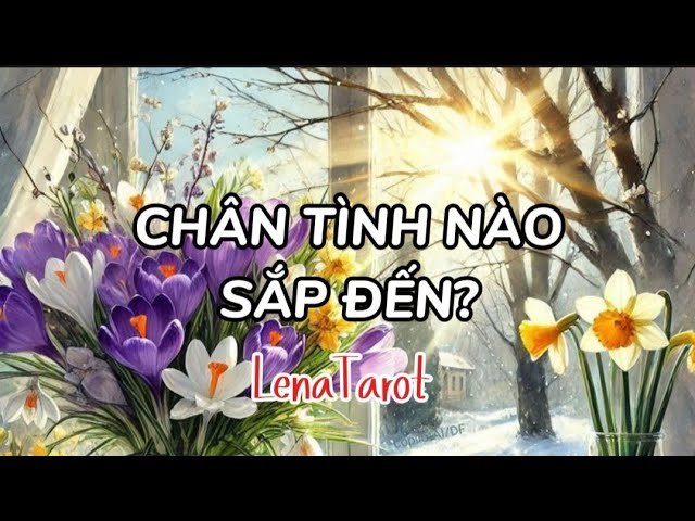 No momento, você está visualizando Chân tình nào sắp đến? | #lenatarot #tarot #tarotreading