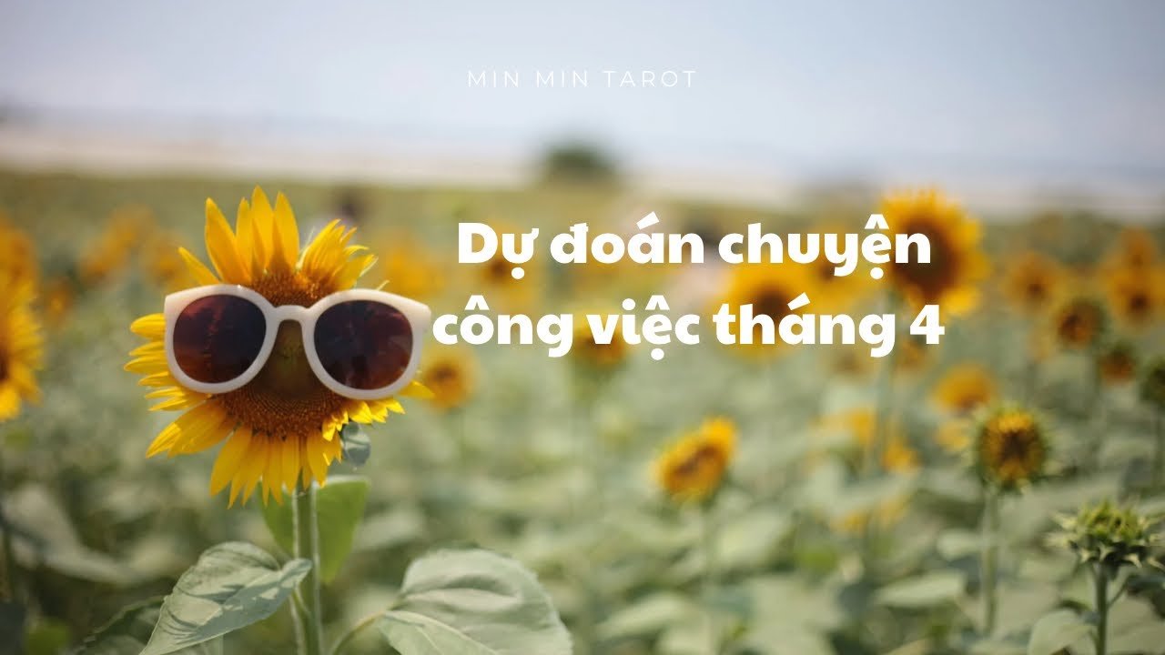 No momento, você está visualizando CHỌN 1 TỤ BÀI: DỰ ĐOÁN CÔNG VIỆC THÁNG 4
