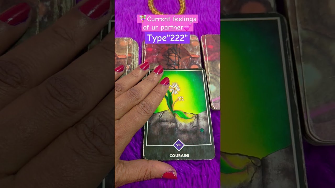 No momento, você está visualizando 🧚‍♀️Current feelings of ur partner💕 #tarot #fortunetelling #ytshorts #tarothindi