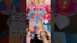 Leia mais sobre o artigo Current Feelings❤️✨ #viralvideo #tarot #viralshorts #shortsfeed #tarotreading #shorts #viralvideos