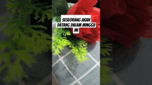 Leia mais sobre o artigo seseorang akan datang dalam Minggu ini#shorts #shortvideo #tarot #tarotreading