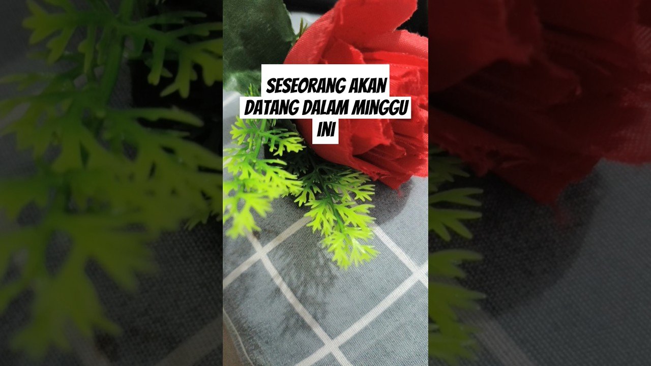 No momento, você está visualizando seseorang akan datang dalam Minggu ini#shorts #shortvideo #tarot #tarotreading