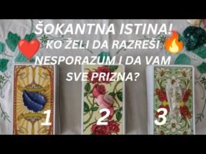 Leia mais sobre o artigo ŠOKANTNA ISTINA! KO ŽELI DA RAZREŠI NESPORAZUM INDA VAM SVE PRIZNA? 👁️❤️🔥 IZABERI KARTU – TAROT