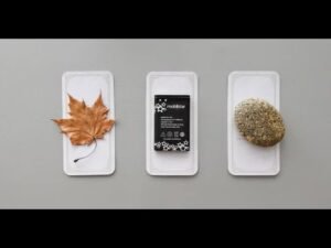 Leia mais sobre o artigo tarot: chọn tụ bài: cánh cửa nào đang mở ra cho bạn?