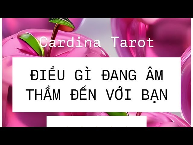 No momento, você está visualizando #Tarot : ĐIỀU GÌ ĐANG ÂM THẦM ĐẾN VỚI BẠN 🐳🐳🐳