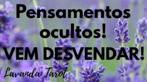 Leia mais sobre o artigo #tarot 💜🪻Pensamentos ocultos! VEM DESVENDAR!💜🪻