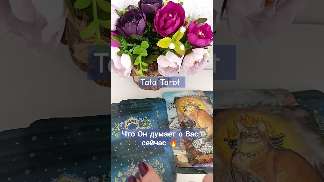 No momento, você está visualizando Что Он думает о Вас сейчас 🤔 #обряды #талисмантаро #эзотерика #tarot