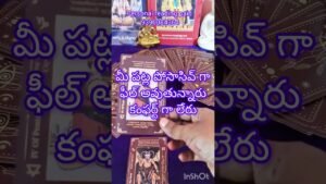 Leia mais sobre o artigo మీ పర్సన్ మిమ్మల్ని దూరం పెట్టడానికి కారణం ఏంటి #tarotreading #love #youtubeshorts #tarot