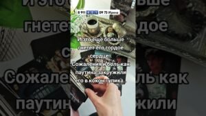 Leia mais sobre o artigo ♥️❤️ #картытаро #таро #узнатьсудьбу #эзотерика #таролог #гадание #tarot