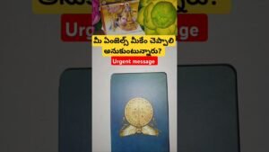 Leia mais sobre o artigo మీ ఏంజెల్స్ మీకేం చెప్పాలి అనుకుంటున్నారు #magic #basicwitch #tarot