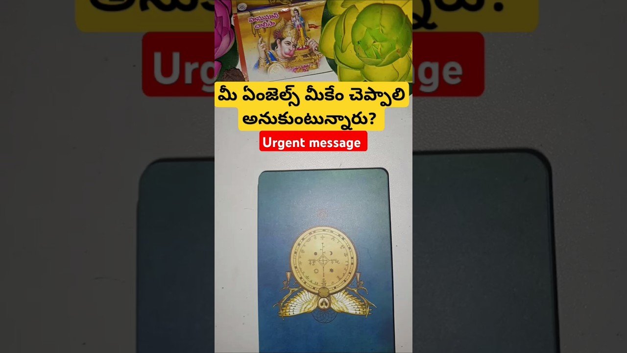 No momento, você está visualizando మీ ఏంజెల్స్ మీకేం చెప్పాలి అనుకుంటున్నారు #magic #basicwitch #tarot