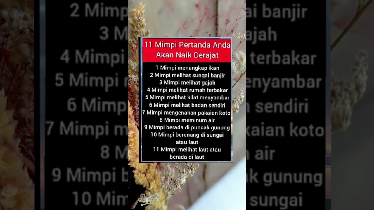 No momento, você está visualizando 11 mimpi pertanda anda akan naik derajat#shorts #shortvideo #tarot #shortsviral