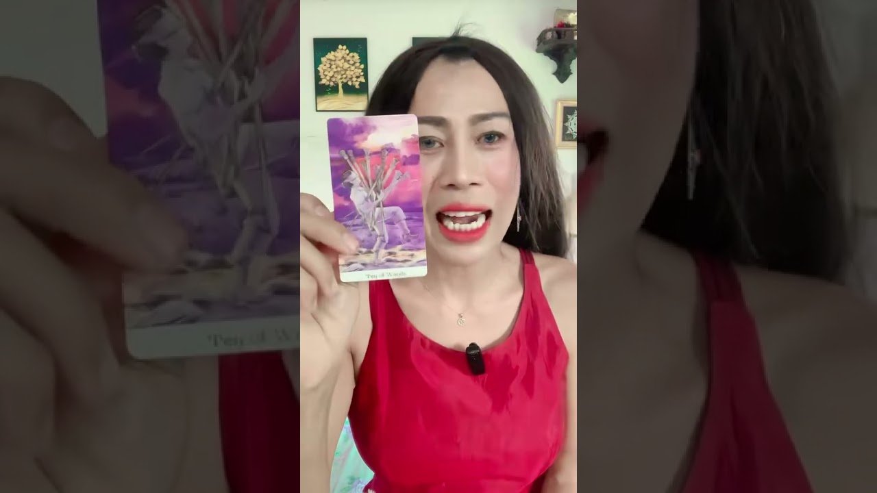 No momento, você está visualizando ปัญหาเรื่องการเงินของคุณจะคลี่คลายไหม #ดวง #tarot #tarotcaards #cat #pickacard #ดูดวง