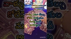 Leia mais sobre o artigo మీ పార్ట్నర్ ఫీలింగ్స్ #tarot #tarotreading #astrology #love #youtubeshorts