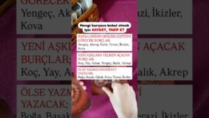 Leia mais sobre o artigo “Aldım Kabul Ettim” de ✨🙏🏻 #tarot #tarotaçılımı #burçlar #burçyorumu #burçyorumları #sayısekansı