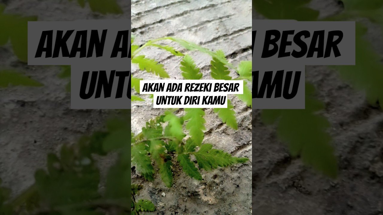 No momento, você está visualizando akan ada rezeki besar untuk diri kamu#shorts #shortvideo#tarot  #tarotreading #