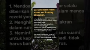 Leia mais sobre o artigo cara menarik rezeki suami#shorts #shortvideo #tarot #shortsviral