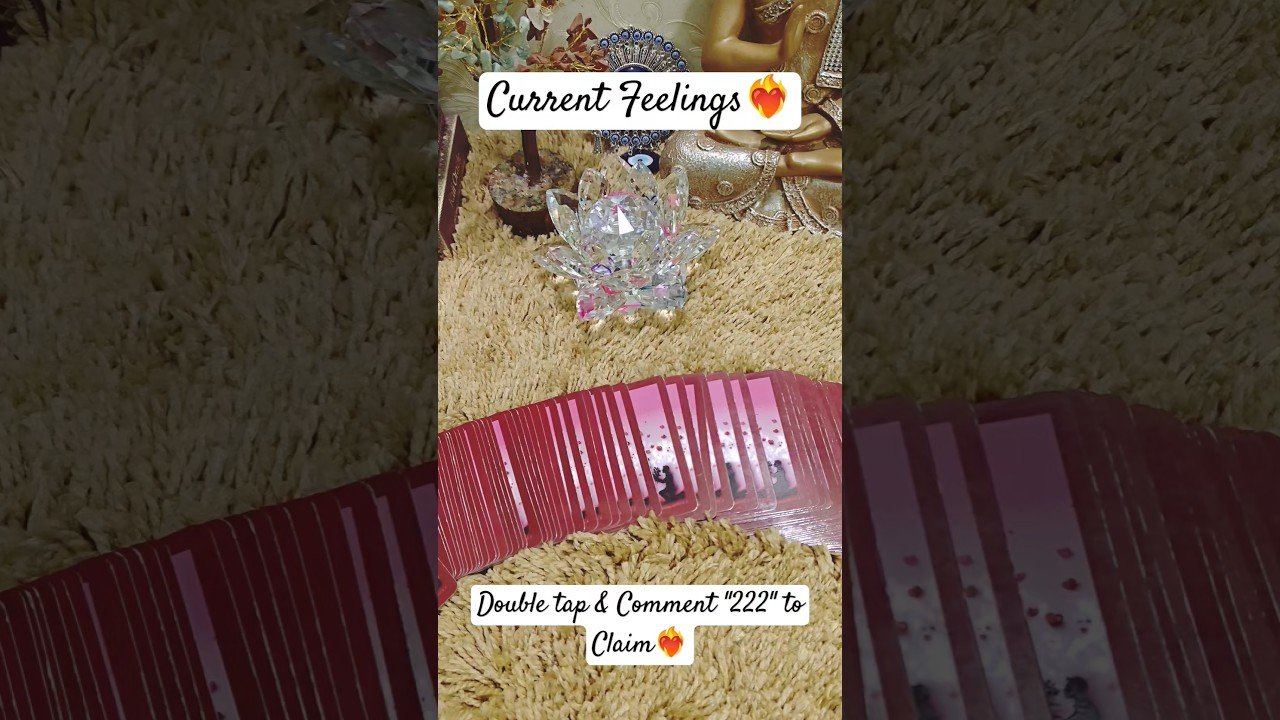 No momento, você está visualizando Current Feelings of Your Partner❤️‍🔥#shorts #shortsfeed #tarot #viralvideo #viralshorts #shortsvideo