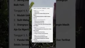 Leia mais sobre o artigo fakta tentang tanggal lahir#shorts #shortvideo #tarot #shortsviral