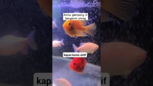 Leia mais sobre o artigo kamu gampang di kangenin orang#shorts #shortvideo #tarot #tarotreading