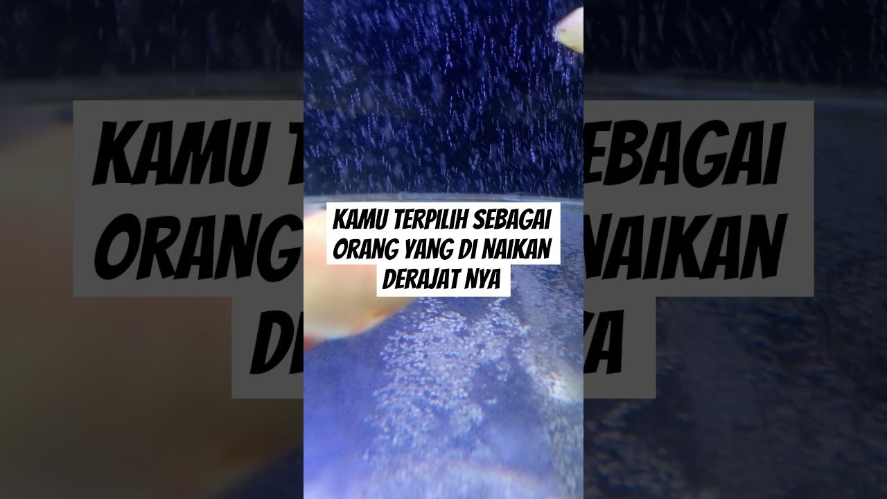 No momento, você está visualizando kamu terpilih sebagai orang yang di naikan derajat nya#shorts #shortvideo #tarot #tarotreading