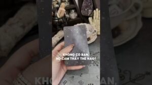 Leia mais sobre o artigo Không có bạn, họ cảm thấy thế nào #tarot #duongtarot #tarotreels #tarotvietnam #tarotonline #tinhyeu
