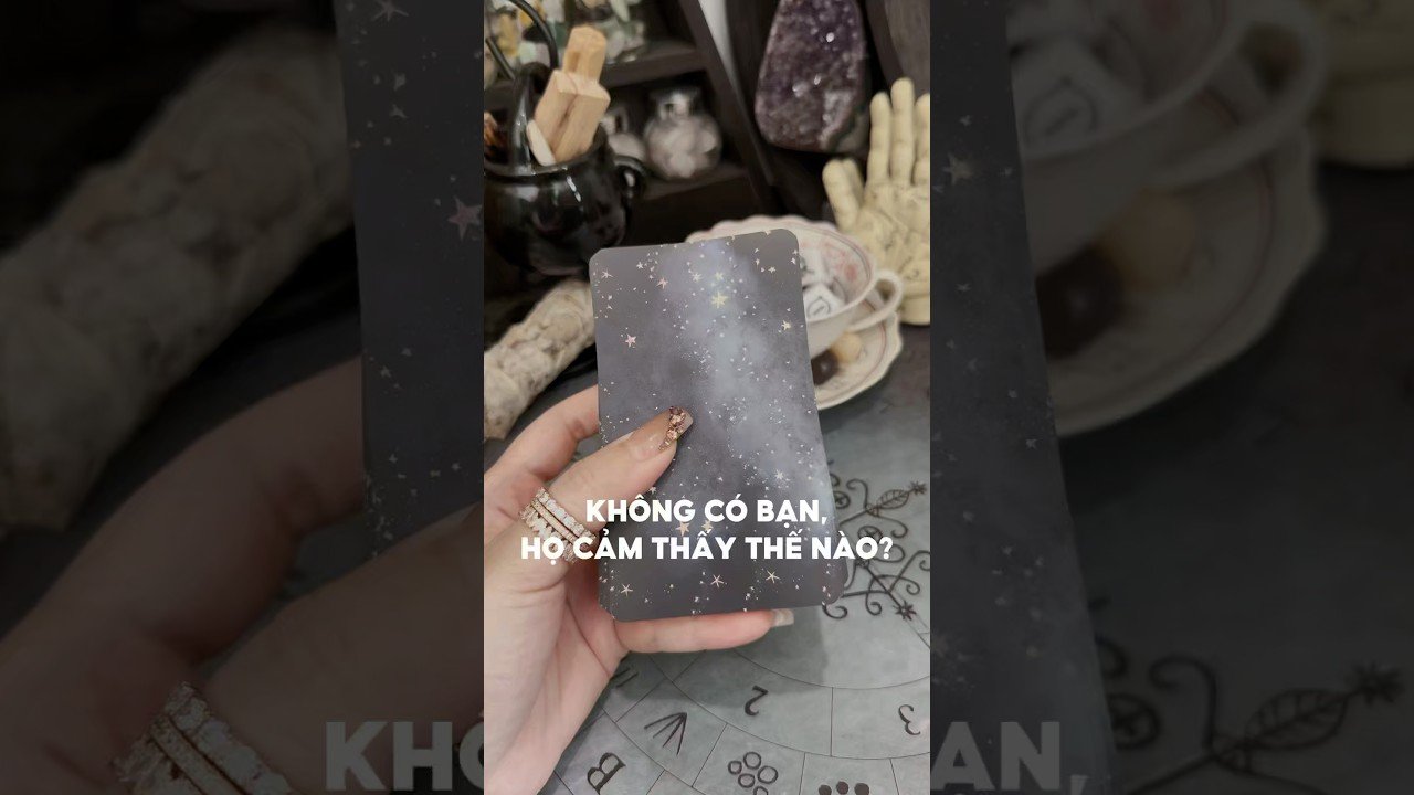 No momento, você está visualizando Không có bạn, họ cảm thấy thế nào #tarot #duongtarot #tarotreels #tarotvietnam #tarotonline #tinhyeu