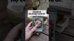 Leia mais sobre o artigo Khi rời đi, họ có suy nghĩ gì? #tarot #duongtarot #tarotreels #tarotvietnam #tarotonline #tinhyeu