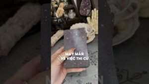 Leia mais sobre o artigo May mắn về việc thi cử dành cho bạn #tarot #duongtarot #tarotreels #tarotvietnam #tarotonline