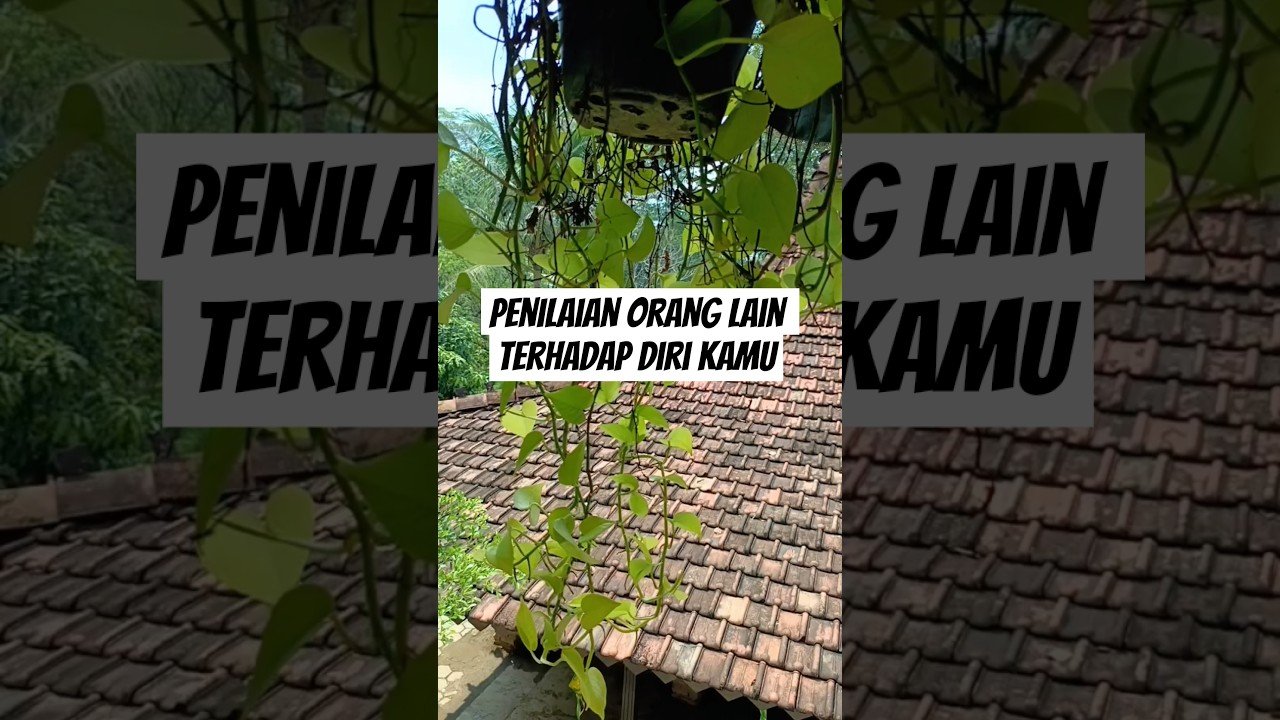 No momento, você está visualizando penilaian orang lain terhadap diri kamu#shorts #shortvideo #tarot #tarotreading