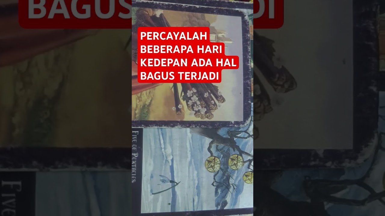 No momento, você está visualizando PERCAYALAH BEBERAPA HARI KEDEPAN ADA HAL BAGUS TERJADI #tarot #tarotreading