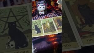 Leia mais sobre o artigo Royal Charms: DGU Cat #SLLIX #SLLIXUK #cat #projectneptune #energycheck #tarot #review #charm