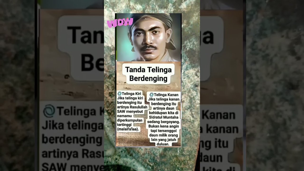 No momento, você está visualizando tanda telinga berdenging#shorts #shortvideo #tarot #shortsviral