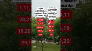 Leia mais sobre o artigo tanggal lahir penarik rezeki dan bakat indigo #shots #tarot #hiburansegar #hiburan